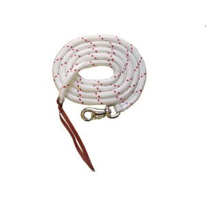 Training Lead 8ft