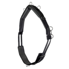 Deluxe Lunge Roller For Training Nylon Surcingle Roller