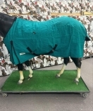 Eureka Deluxe Canvas Rug - Image 2