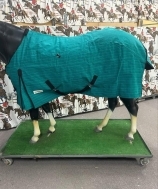 Eureka Deluxe Canvas Rug - Image 2