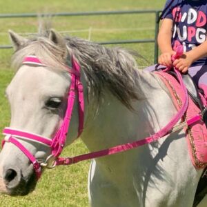 Contact Reins DEE ATTACHMENT For Saddle