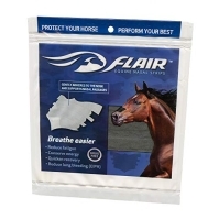 flair horse