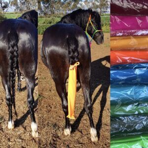 Bright & Beautiful Tail Bags