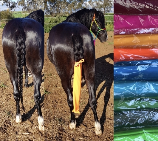 Bright & Beautiful Tail Bags