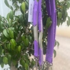 Side Reins With English Elastic