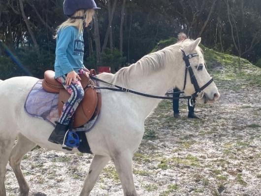 Contact Reins in Leather for Horses | Beginner Riding Aid for Balance & Control *ON SALE THIS WEEKEND ONLY