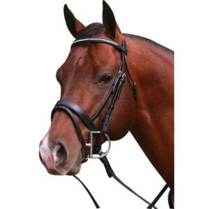 Luciana Bridle