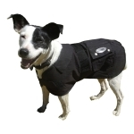 Oilskin Jack