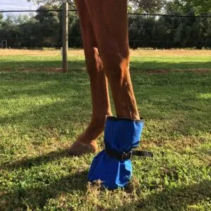 Canvas Poultice Boot