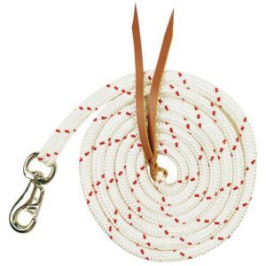Training Lead 12ft  With Bullsnap