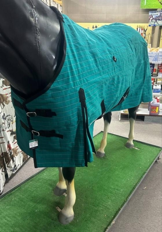 Eureka Deluxe Canvas Rug
