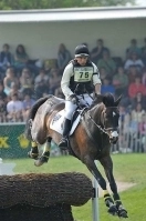 flair horse