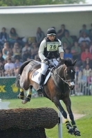 flair horse