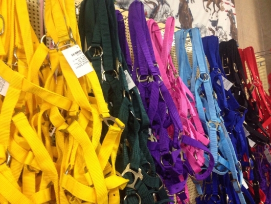 Nylon Value Halter