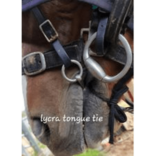 Tongue Tie Lycra (New Style) x 1 - Image 2