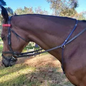 Stabilising Martingale