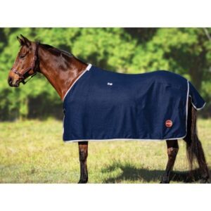 Wool Rug