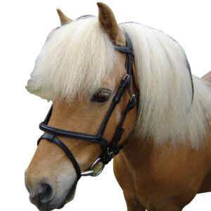 Eureka Miniature Bridle