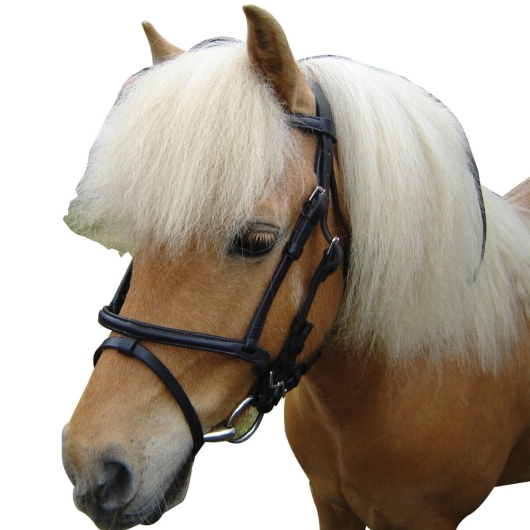 Eureka Miniature Bridle