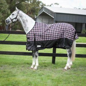 Eureka Bounty Huntar Synthetic Rug Plaid