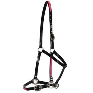 Fort Worth Halter  PVC Overlay Halter - Black/Hot Pink