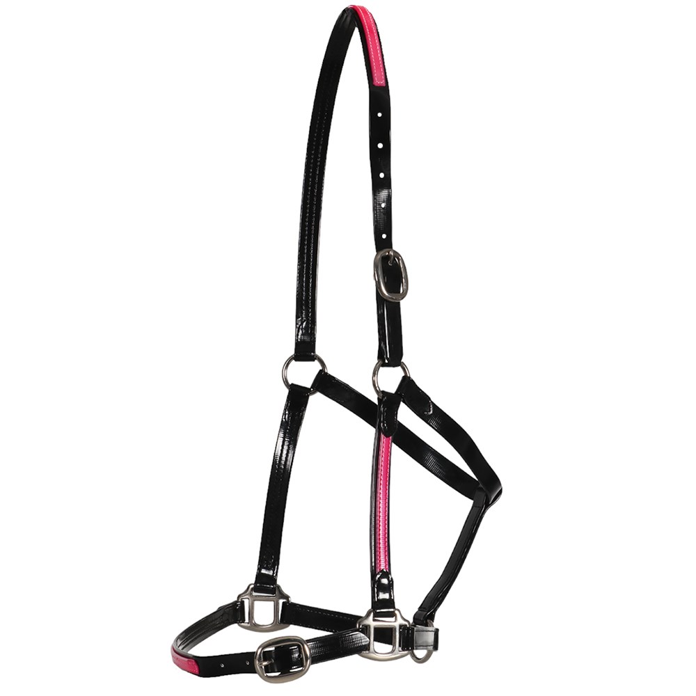Fort Worth Halter PVC Overlay Halter - Black/Hot Pink