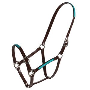 Fort Worth Halter  PVC Overlay Halter - Brown/Turquoise