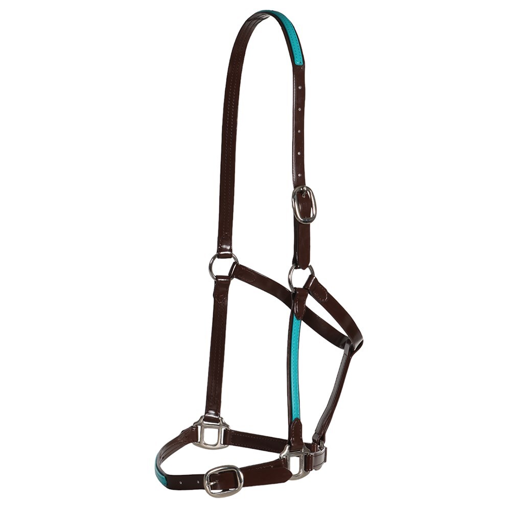 Fort Worth Halter PVC Overlay Halter - Brown/Turquoise - Image 2