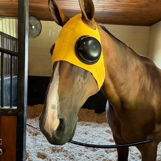 Recovery Eye Protective Mask With Full Eye Cover - Image 2