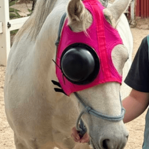 Recovery Eye Protective Mask With Full Eye Cover