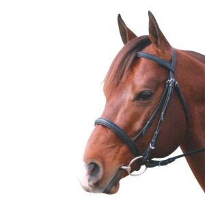 Eureka Snaffle Cavesson Bridle