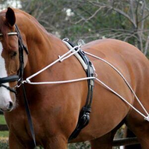 Lungeing Training System