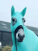 HorzeHood With Ears - Image 7
