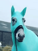 HorzeHood With Ears - Image 7