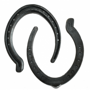 O'Dwyer Pacing Horseshoes Hinds