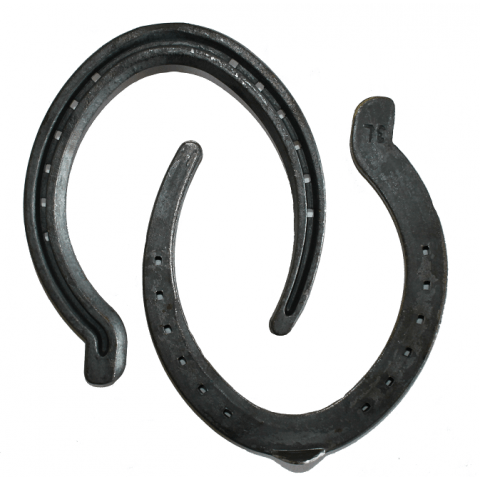 O'Dwyer Pacing Horseshoes Hinds