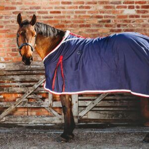 Cavalier Cotton Show  Rug