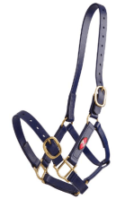 Zilco 25mm PN Halter - Image 8