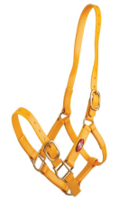 Zilco 25mm PN Halter - Image 9