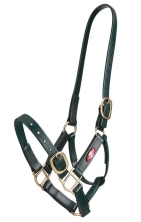 Zilco 25mm PN Halter - Image 10