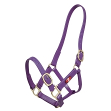 Zilco 25mm PN Halter - Image 3