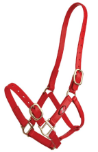 Zilco 25mm PN Halter - Image 7