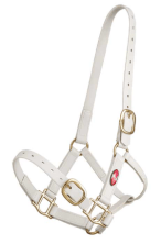 Zilco 25mm PN Halter - Image 6
