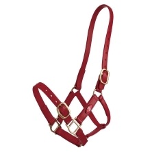 Zilco 25mm PN Halter - Image 4