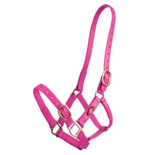 Zilco 25mm PN Halter - Image 2