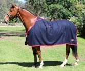 Stadium Wool Rug - Dress Rug/Trophy Rug With Embroidery - Image 2