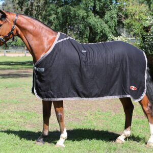 Stadium Wool Rug - Dress Rug