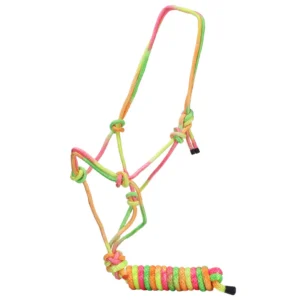 Rainbow Halter & Lead