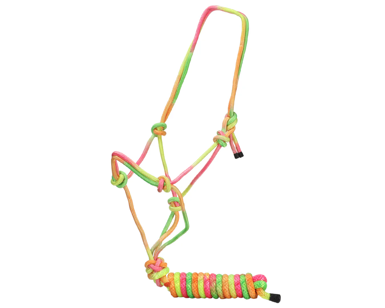 Rainbow Halter & Lead