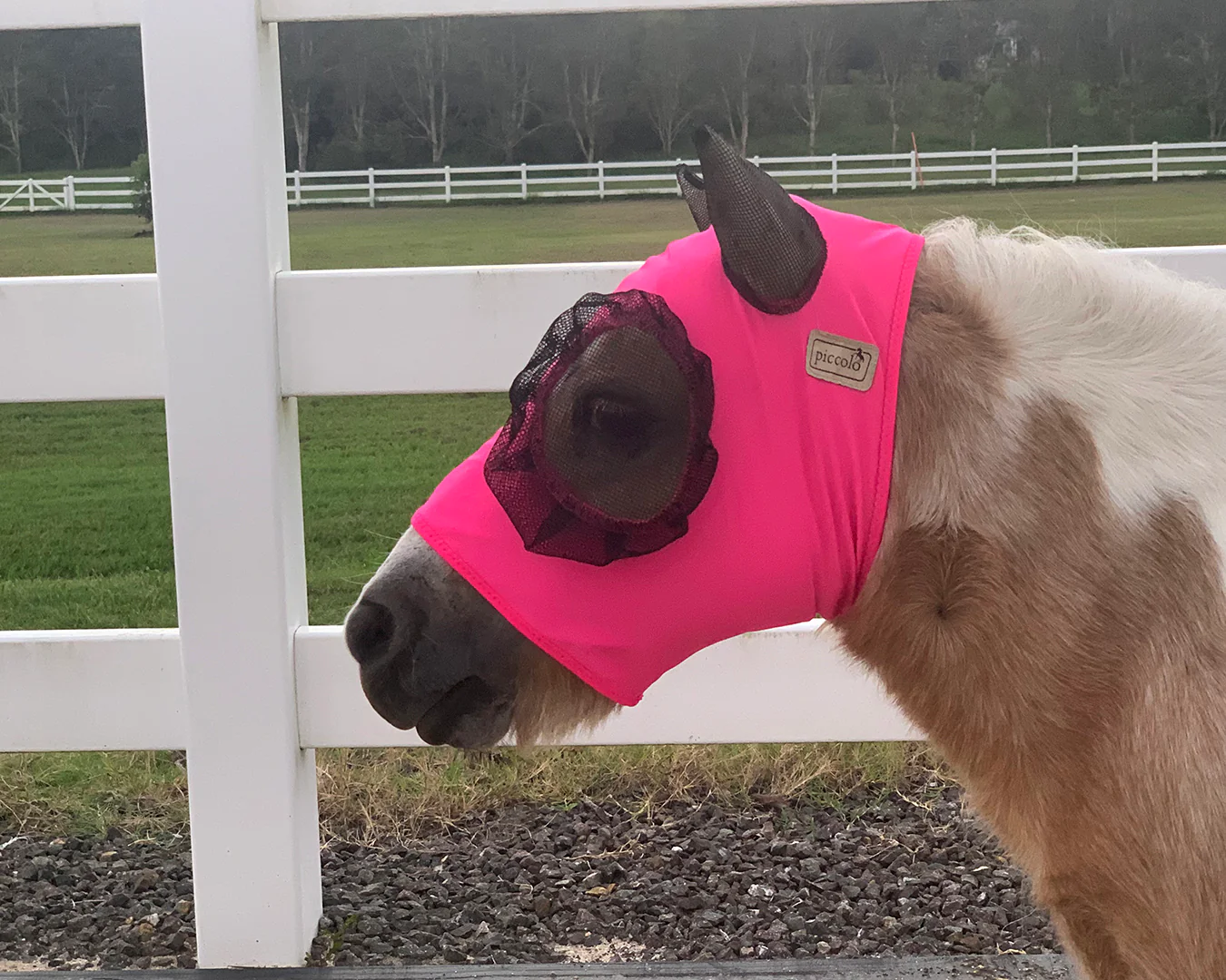 Piccolo Lycra Pull-On Fly Mask - Image 4